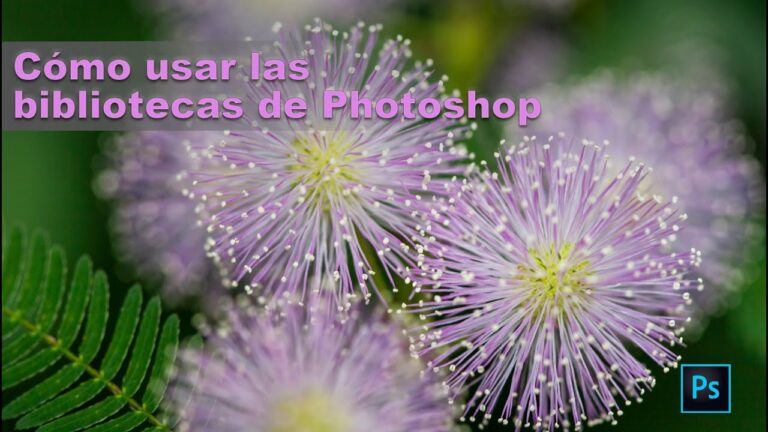 Optimizaci&oacute;n de Gr&aacute;ficos en P&aacute;ginas Web con Adobe Creative Suite