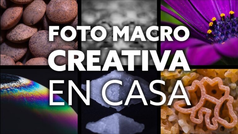 La creatividad en la fotograf&iacute;a macro digital
