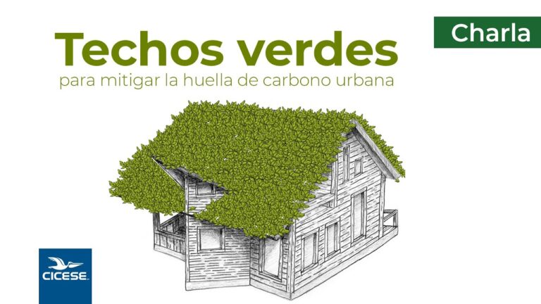 Dise&ntilde;o de jardines verticales con enfoque en sustentabilidad ambiental