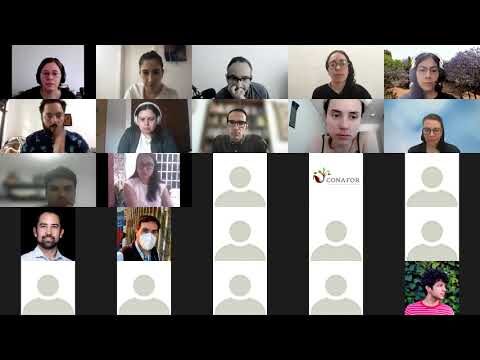 Perspectivas de dise&ntilde;adores sobre dise&ntilde;o sostenible