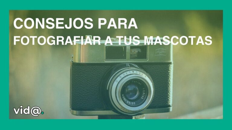 Capturando Momentos Inolvidables de Mascotas en Fotograf&iacute;a Digital