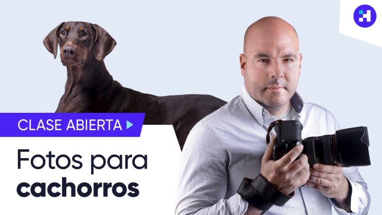 Mascotas como Modelos: Fotograf&iacute;a Digital en Acci&oacute;n