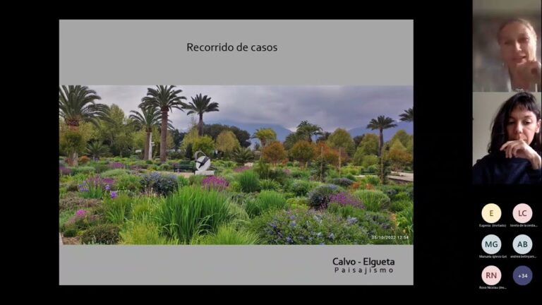 Jardinería Vertical: Prácticas Sustentables para un Espacio Verde