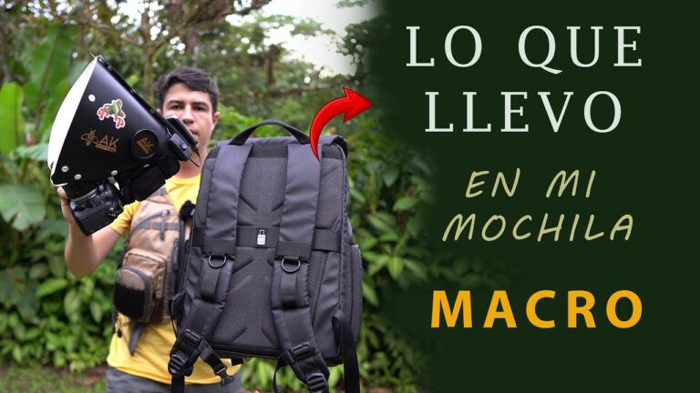 Explorando el Mundo a Trav&eacute;s de la Fotograf&iacute;a Macro Digital