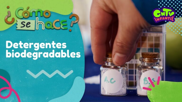 El Futuro del Dise&ntilde;o: Innovaciones en Biodegradabilidad