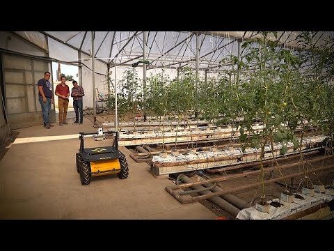 Innovaci&oacute;n Agr&iacute;cola: Aplicaci&oacute;n de Tecnolog&iacute;as Emergentes