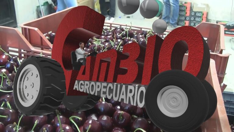 Mejorando la Practicidad del Empaque