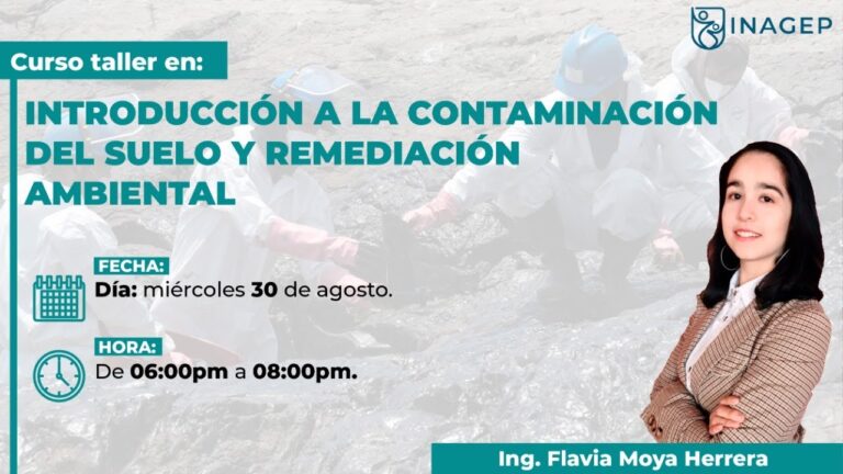 Aspectos Ambientales en la Cr&iacute;tica del Dise&ntilde;o