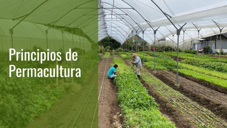 Dise&ntilde;o Sostenible y Uso Responsable del Suelo: Claves para un Futuro Equilibrado