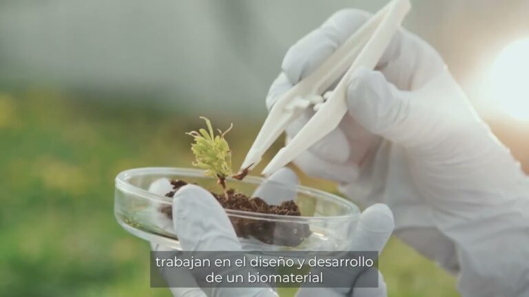 Innovaci&oacute;n en Dise&ntilde;o de Empaques Sustentables y Biodegradables