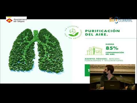 Innovaciones Sostenibles en Jardines Verticales
