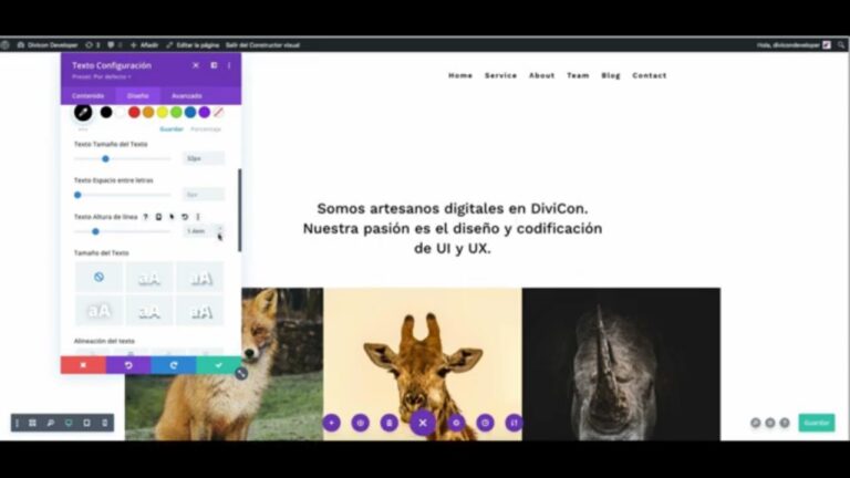 Personalización del Portafolio de Diseño para Cada Evento