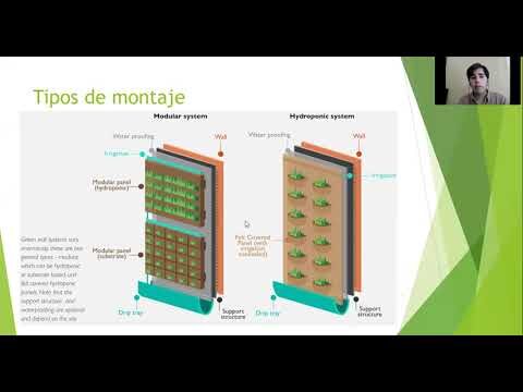 Jardines Verticales Ecol&oacute;gicos: Sostenibilidad y Estilo en Cada Espacio