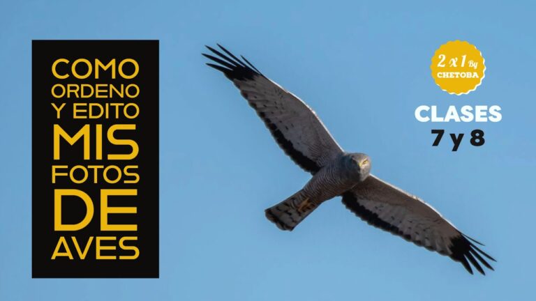 Edici&oacute;n de fotograf&iacute;as de naturaleza en formato digital: Consejos y t&eacute;cnicas