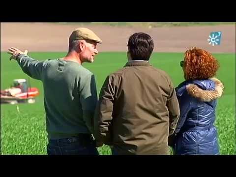 Optimizaci&oacute;n tecnol&oacute;gica en agricultura de precisi&oacute;n