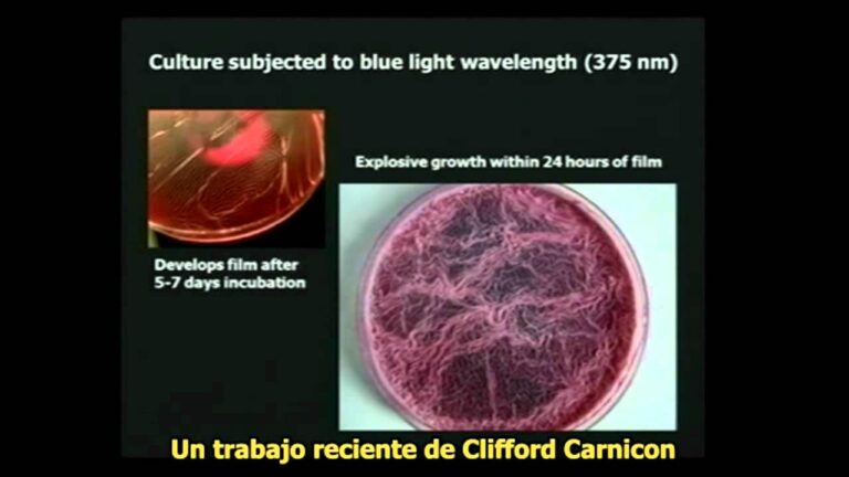 Avances en Biolog&iacute;a Sint&eacute;tica: Tecnolog&iacute;as de Vanguardia