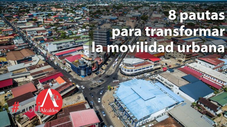 Dise&ntilde;o Inclusivo para una Movilidad Sustentable