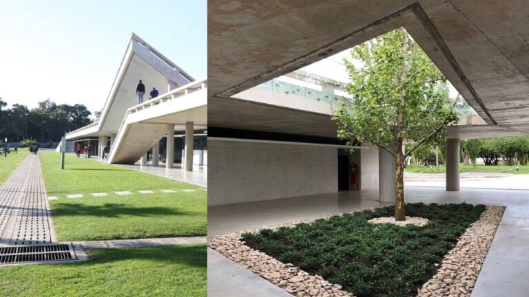 Innovaci&oacute;n en Jardines Verticales: Dise&ntilde;o Paisaj&iacute;stico Sostenible