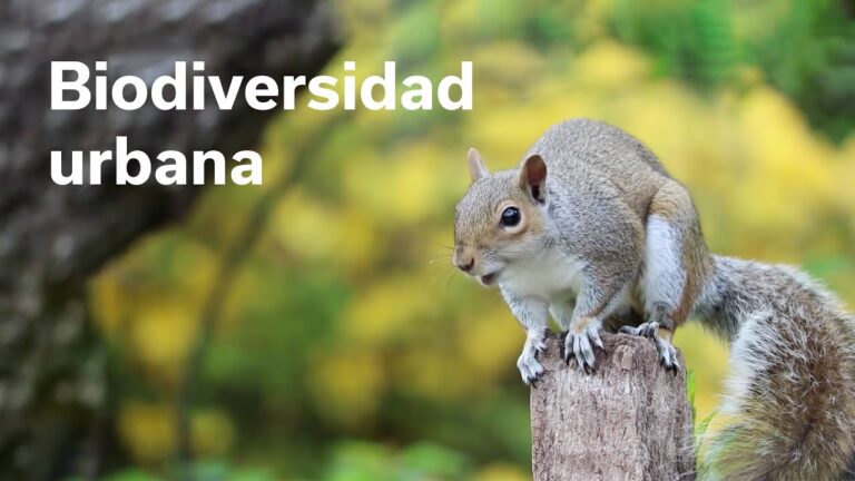 Dise&ntilde;o Sostenible y su Impacto en la Biodiversidad Urbana