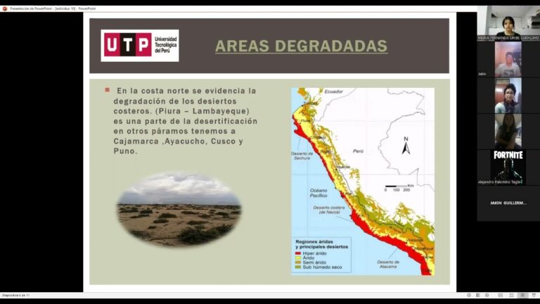 Impacto Ambiental Positivo en Dise&ntilde;o Sostenible