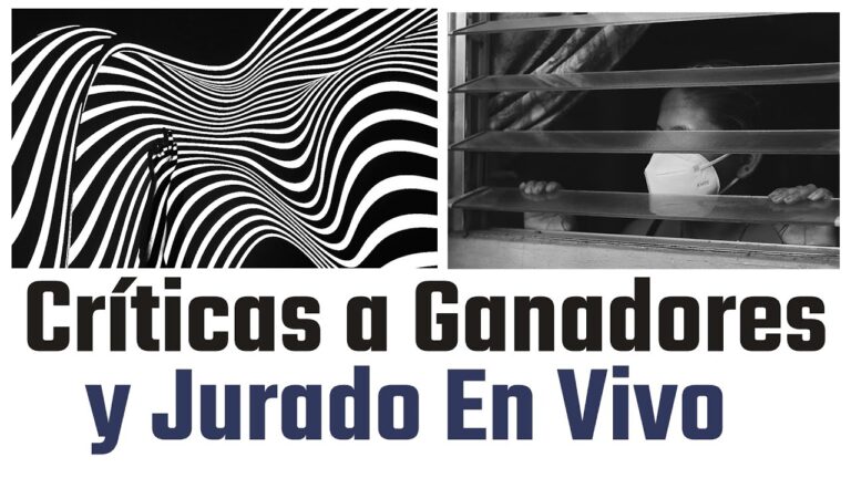 Cr&iacute;tica Profesional del Estilo Minimalista