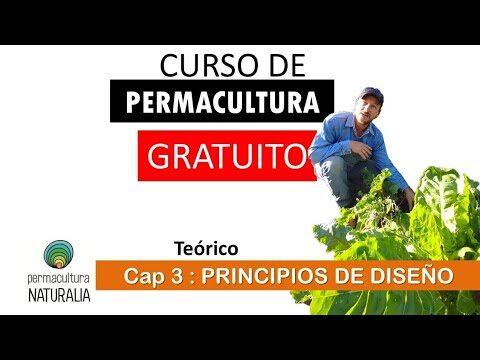 Sustentabilidad: Un Principio Fundamental en el Dise&ntilde;o