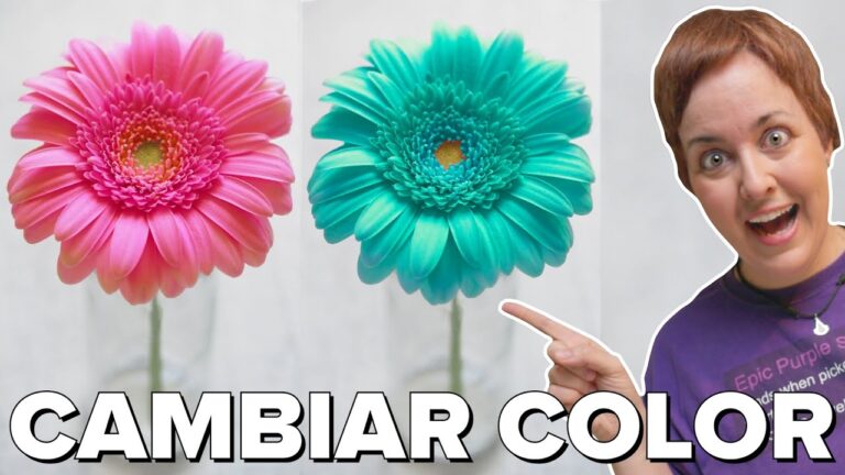 Transforma tus Fotograf&iacute;as con el Estilo Vintage