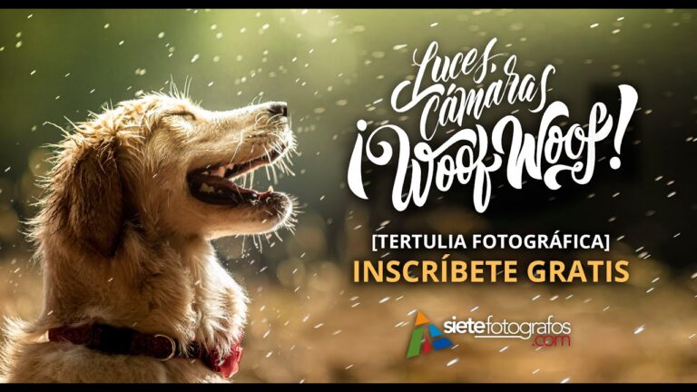 Capturando la Esencia: El Arte de la Fotograf&iacute;a Digital de Mascotas