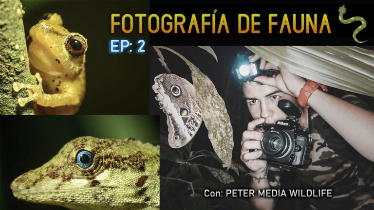 Explorando la Naturaleza con Fotografía Digital