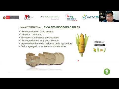Innovaci&oacute;n en Dise&ntilde;o Biodegradable: Soluciones Sostenibles para el Futuro