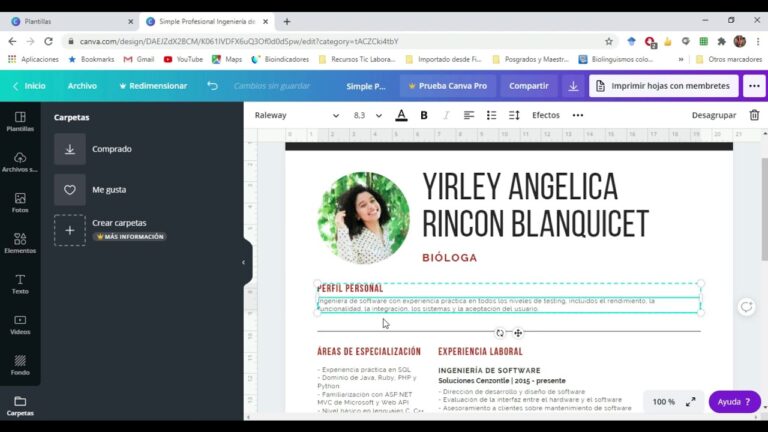 Ideas Creativas para Diseñar un Currículum en Canva