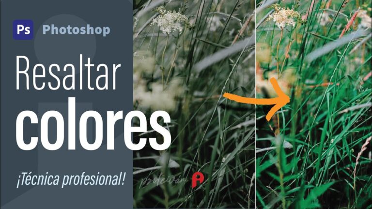 T&eacute;cnicas Efectivas de Resalte de Colores en Edici&oacute;n